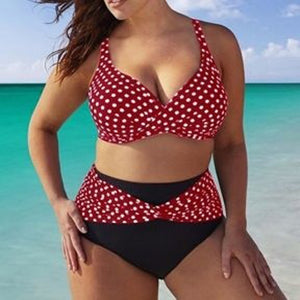 2 Piece High Waist Polka dot Swimsuit