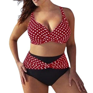 2 Piece High Waist Polka dot Swimsuit