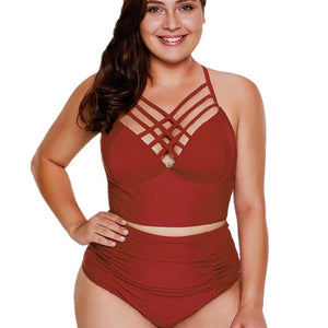 Cut Out  High Waist Plus Size Women Bikini Set