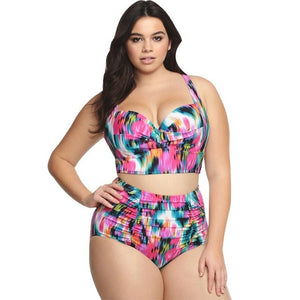 Cut Out  High Waist Plus Size Women Bikini Set