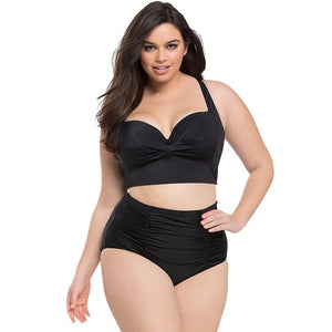 Cut Out  High Waist Plus Size Women Bikini Set