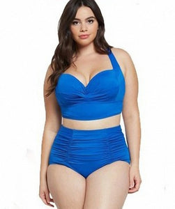 Cut Out  High Waist Plus Size Women Bikini Set