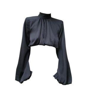 Long Puff Sleeve Blouse Shirts