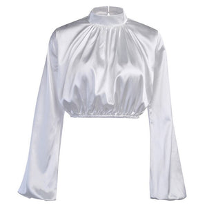 Long Puff Sleeve Blouse Shirts