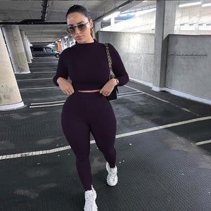 Two Piece  Solid  High Waist Stretchy Crop Top And Leggings