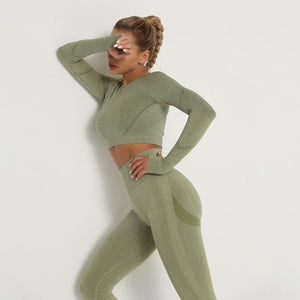 Seamless Women Long Sleeve / High Waist Belly Control Leggings Sport Suit