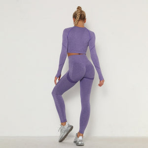 Seamless Women Long Sleeve / High Waist Belly Control Leggings Sport Suit