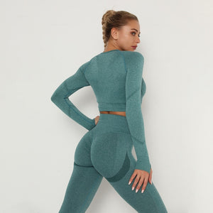 Seamless Women Long Sleeve / High Waist Belly Control Leggings Sport Suit