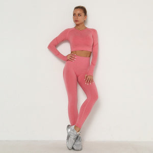 Seamless Women Long Sleeve / High Waist Belly Control Leggings Sport Suit