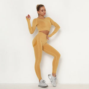 Seamless Women Long Sleeve / High Waist Belly Control Leggings Sport Suit